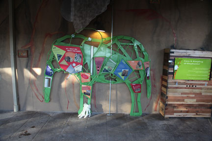 Expedition Tanzania - March 24, 2012