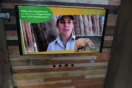 Expedition Tanzania - March 24, 2012