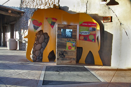 Expedition Tanzania - March 24, 2012