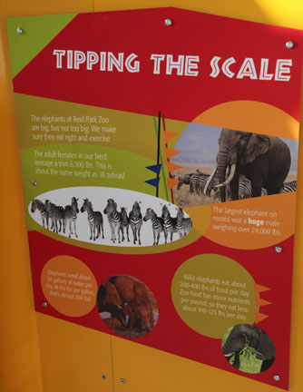 Expedition Tanzania - March 24, 2012