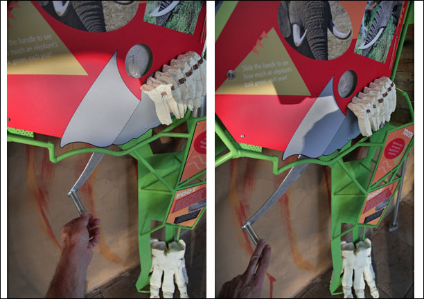 Expedition Tanzania - March 24, 2012