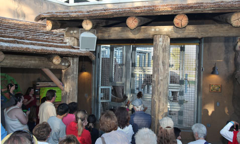 Expedition Tanzania - March 24, 2012