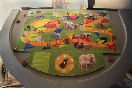 Expedition Tanzania - March 24, 2012