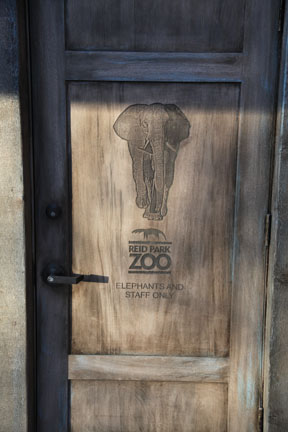 Expedition Tanzania - March 24, 2012