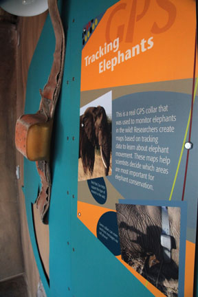 Expedition Tanzania - March 24, 2012