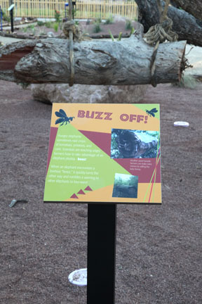 Expedition Tanzania - March 24, 2012