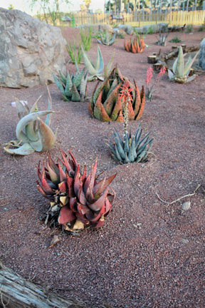 Expedition Tanzania - March 24, 2012