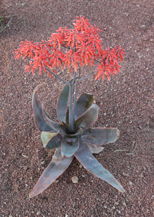 Expedition Tanzania - March 24, 2012