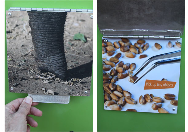 Expedition Tanzania - March 24, 2012