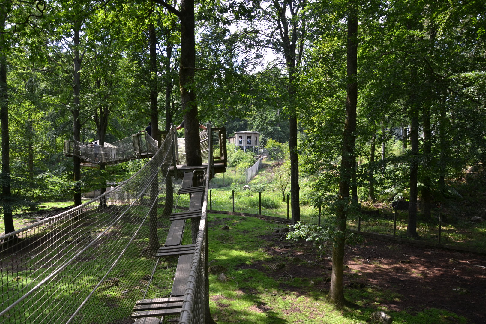 Expedition upp at Skånes djurpark