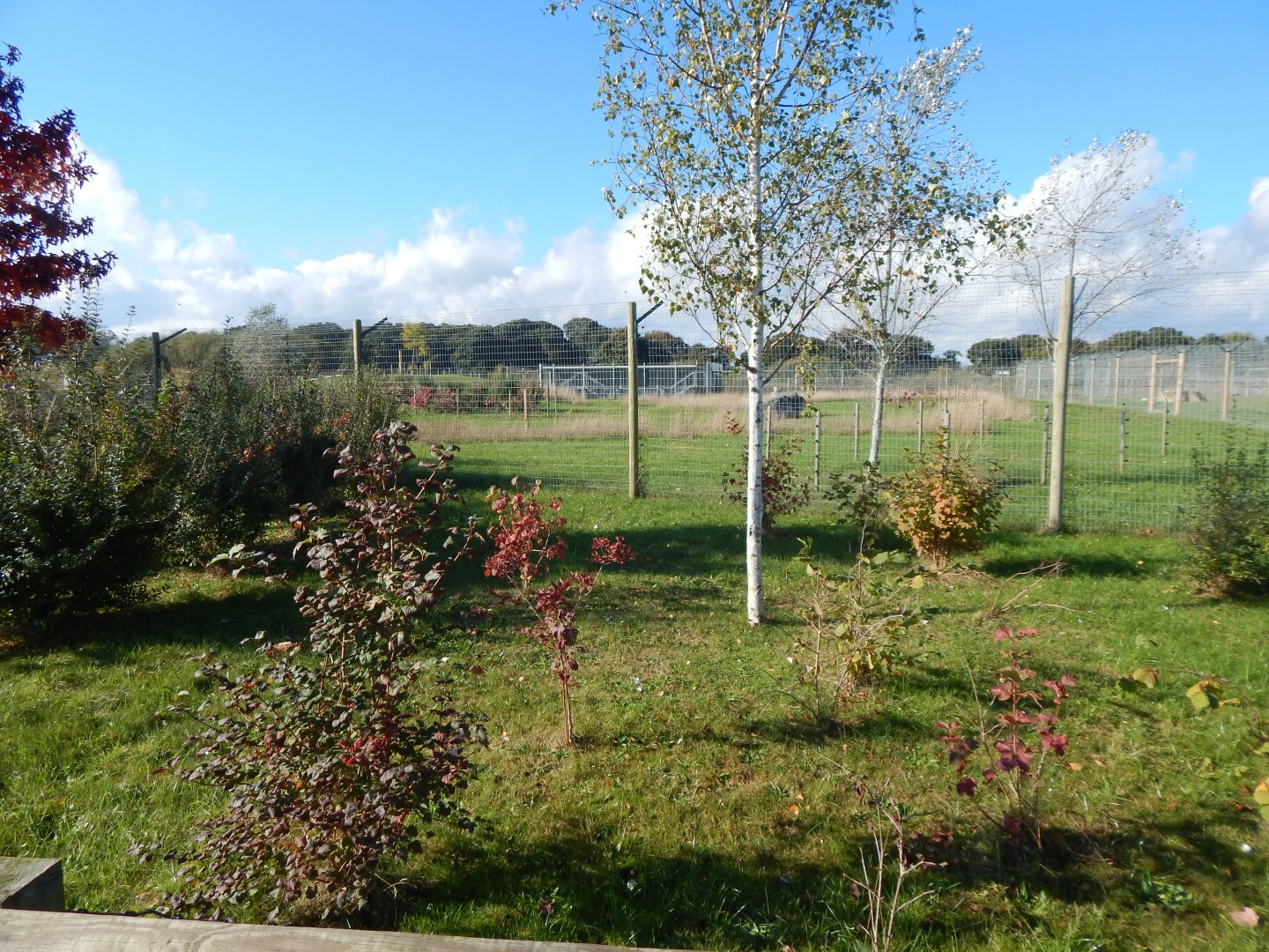 Experience Ethiopia - Spotted hyena exhibit 121024