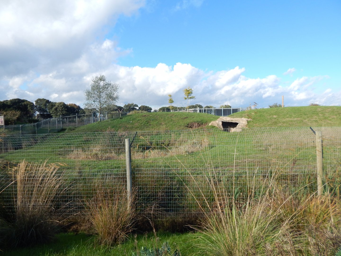 Experience Ethiopia - Spotted hyena exhibit 121024