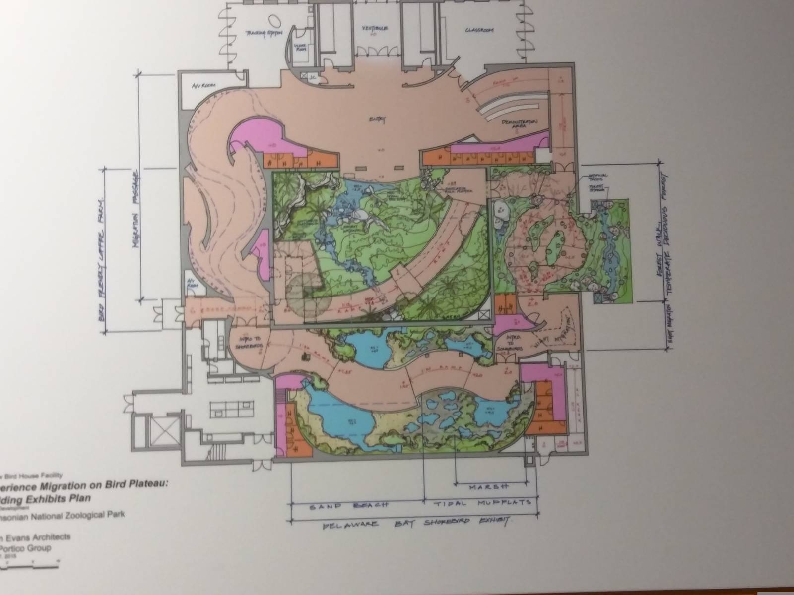 Experience Migration: Bird house plans