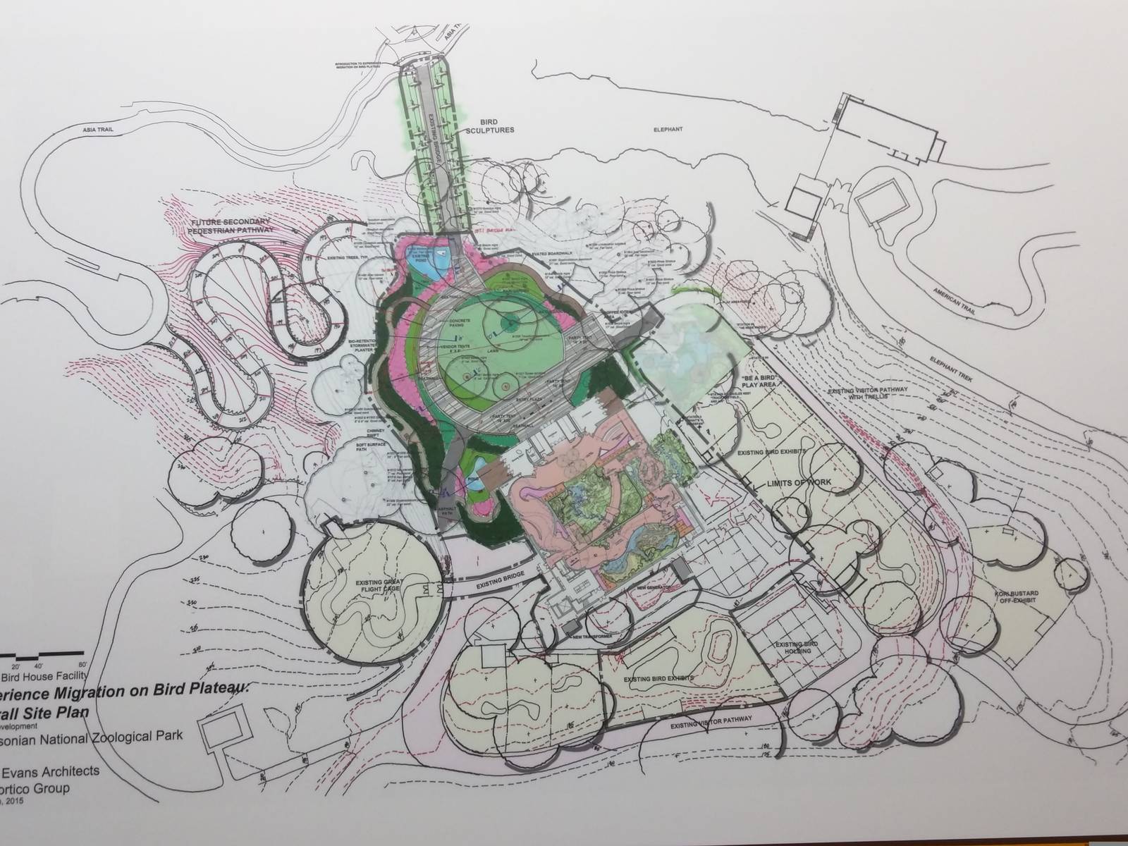 Experience Migration: Full area plans