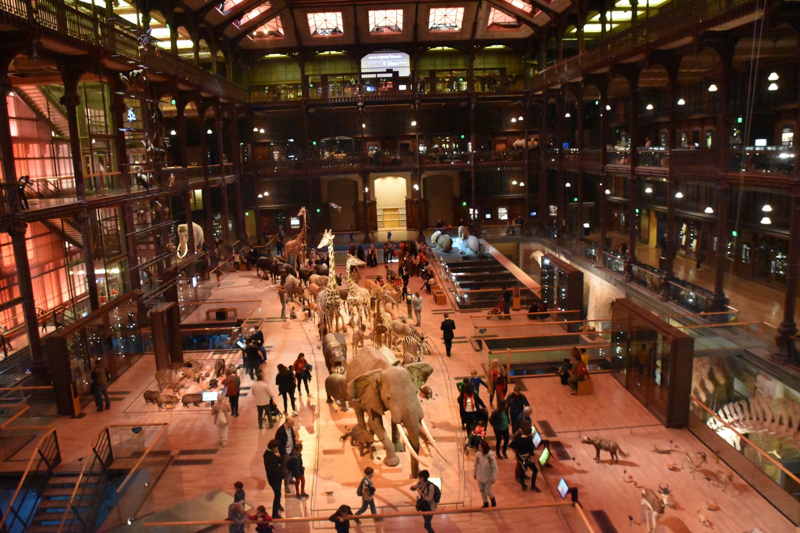 Experimenting with slow shutter speed...