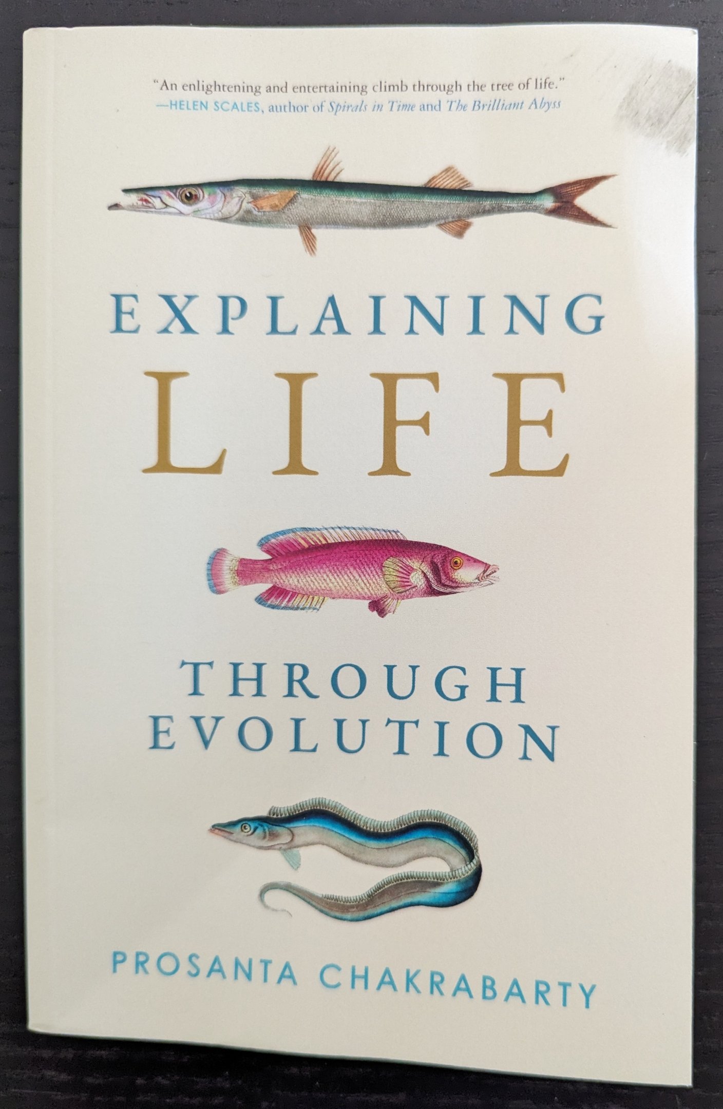 Explaining Life Through Evolution