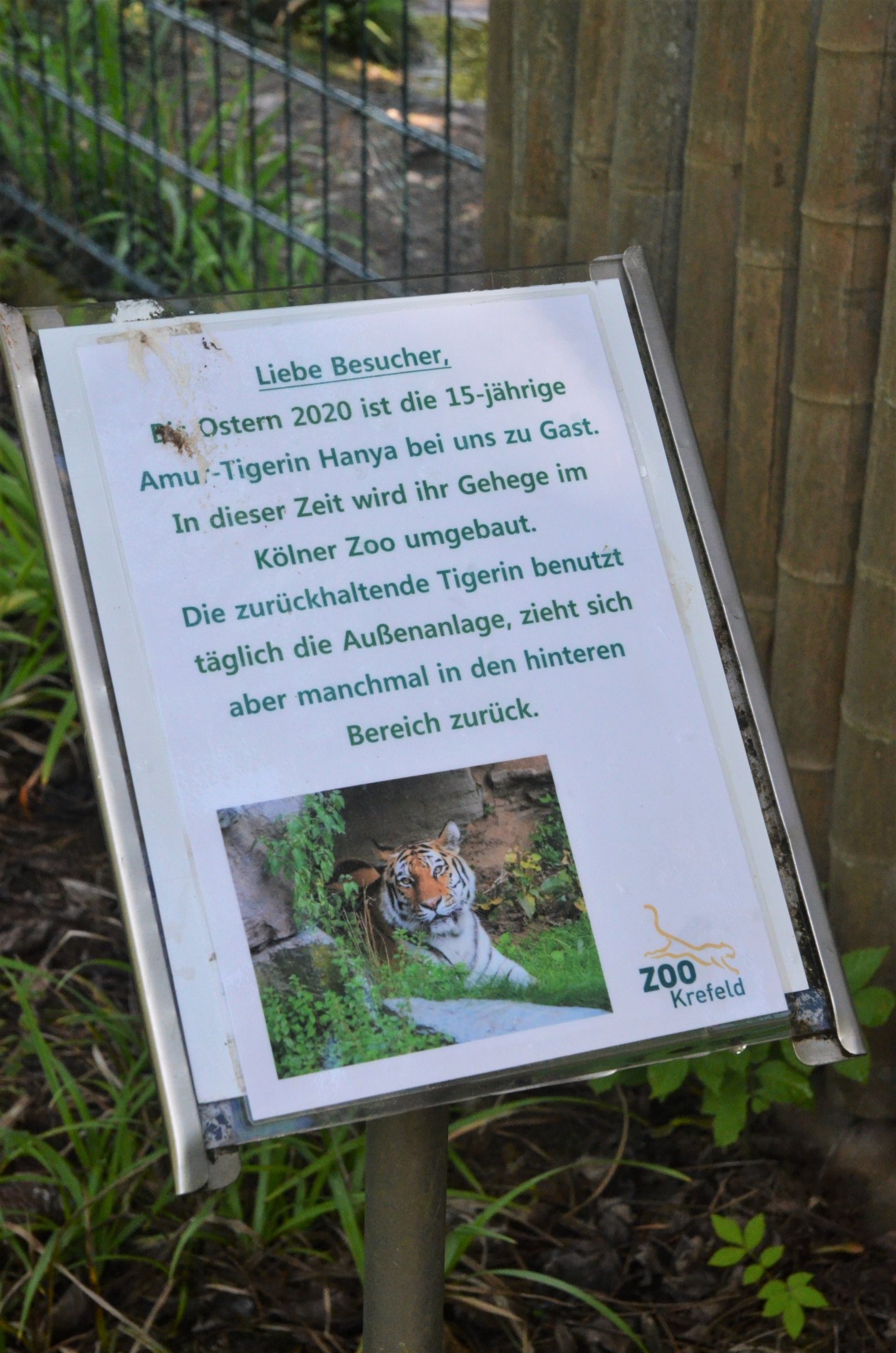Explanatory Tiger Signage at Krefeld, 15/06/19