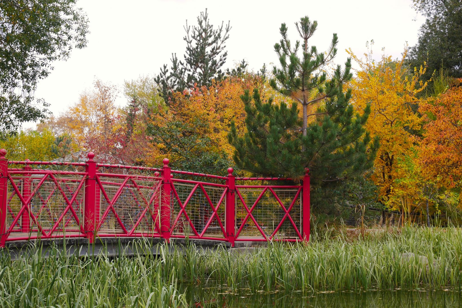 Exploration Asia Landscaping (Fall 2020)