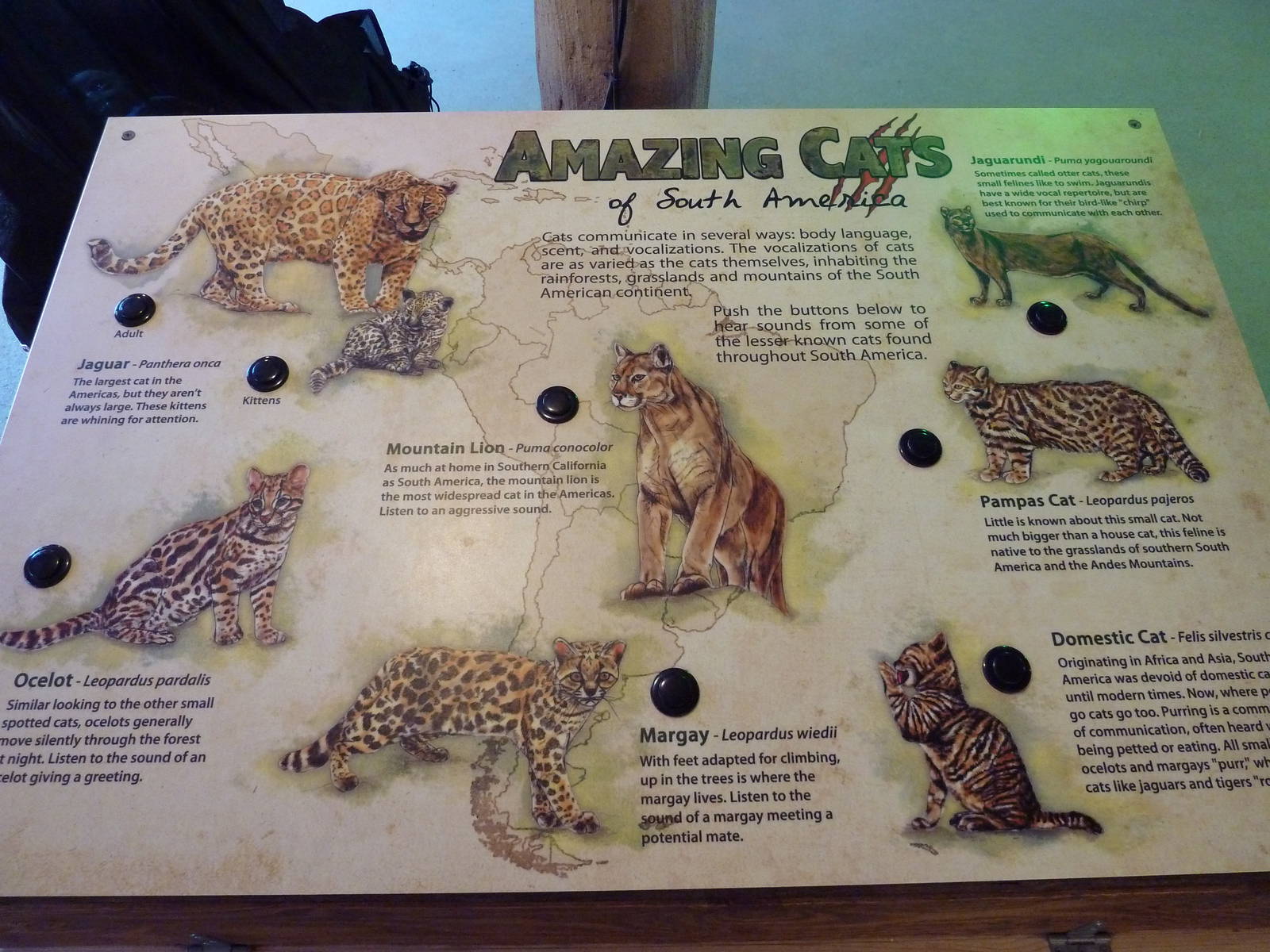 Exploration Outpost - Research Hut