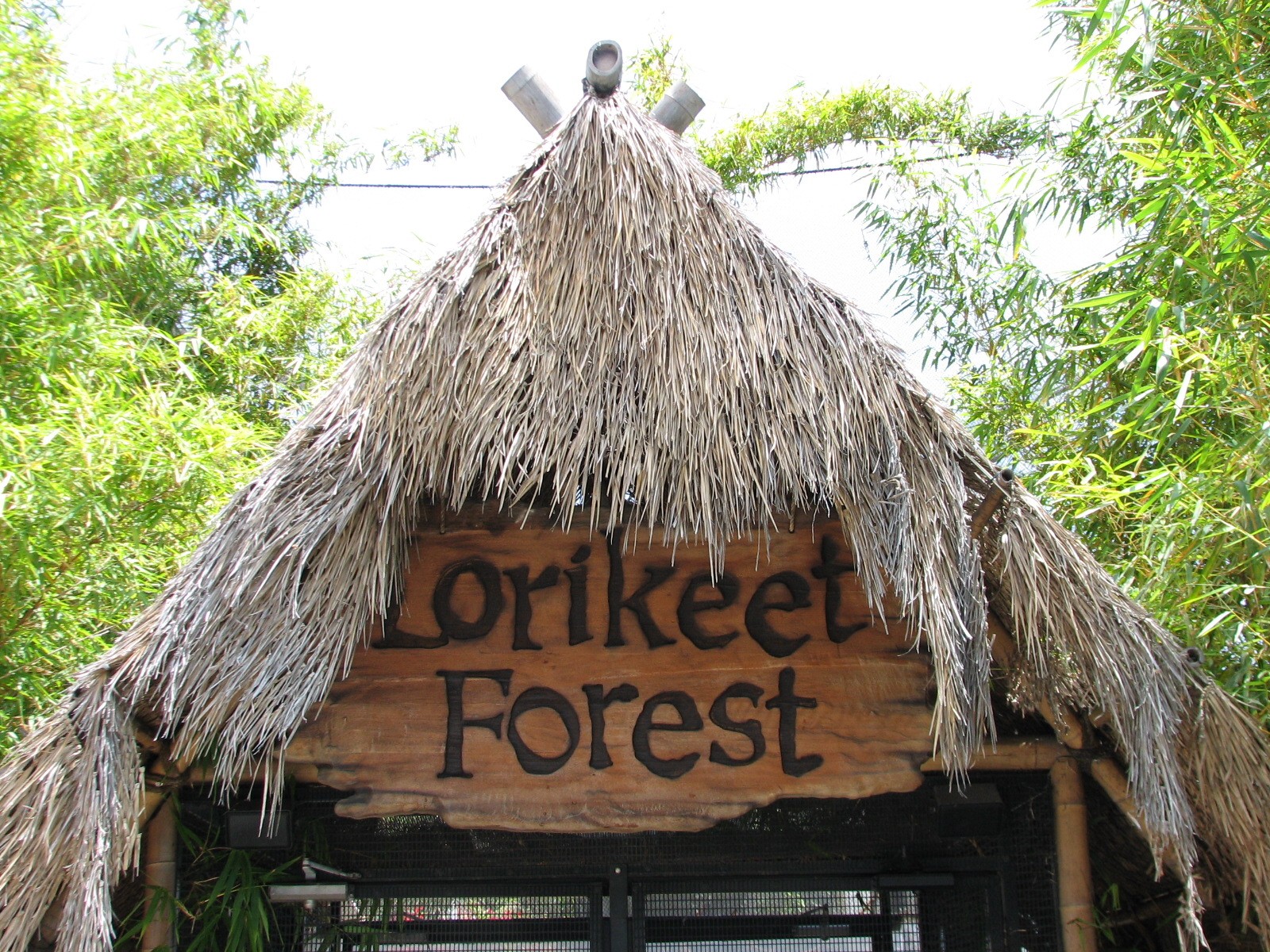 Explorers Cove - Lorikeet Forest