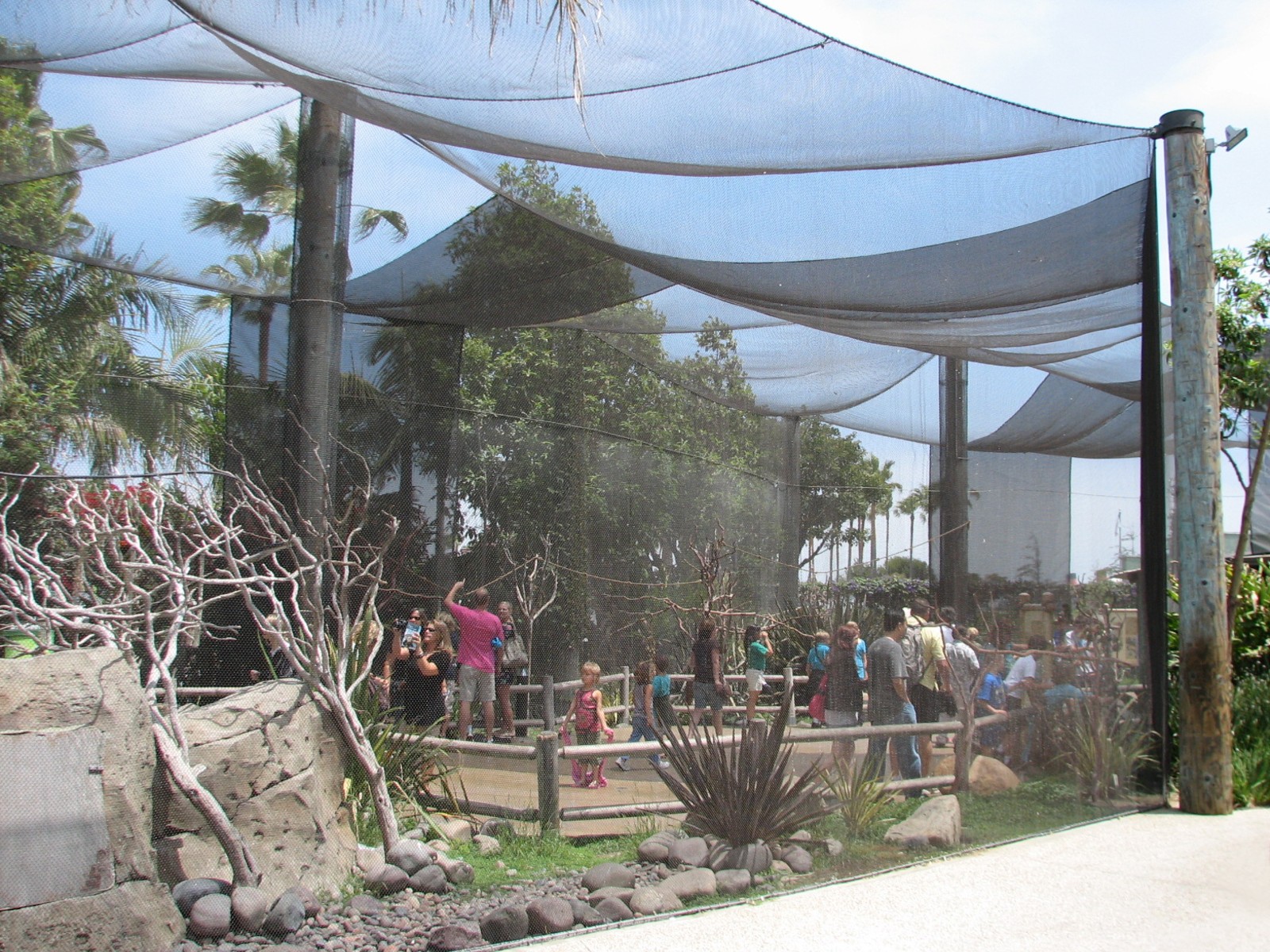 Explorers Cove - Lorikeet Forest