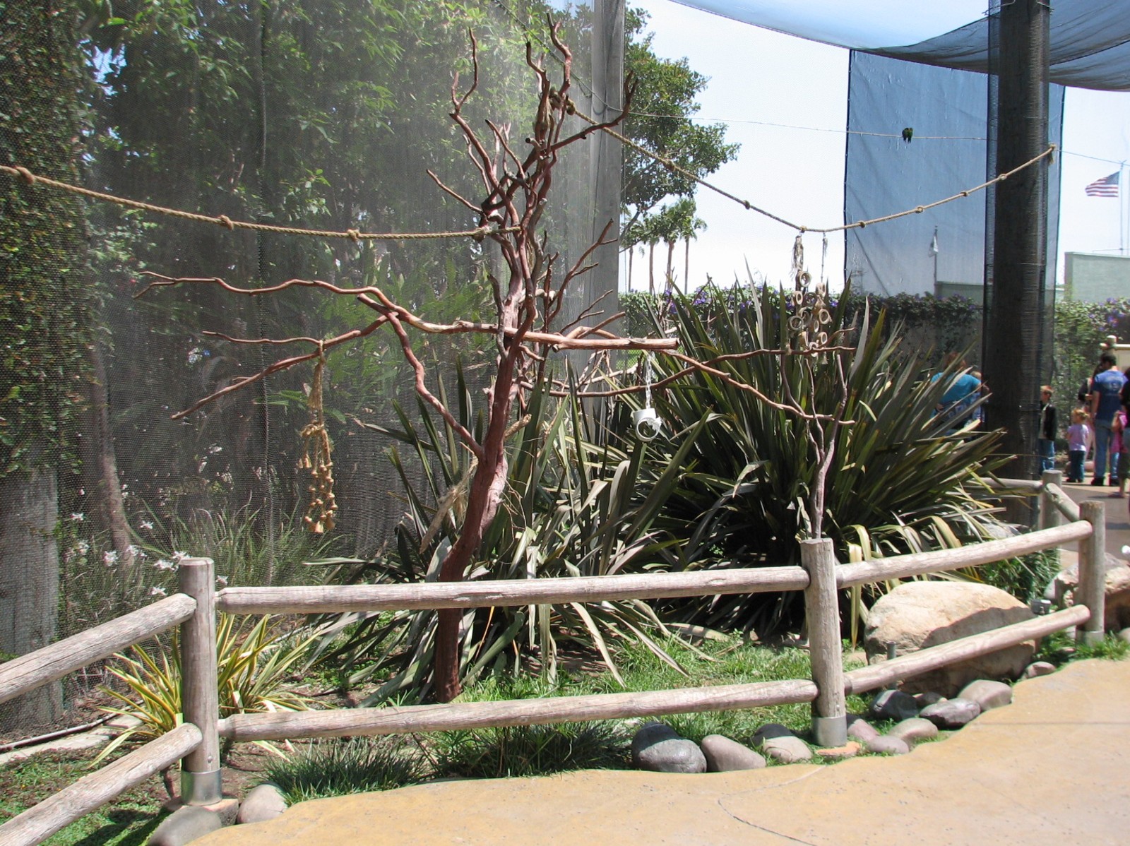 Explorers Cove - Lorikeet Forest