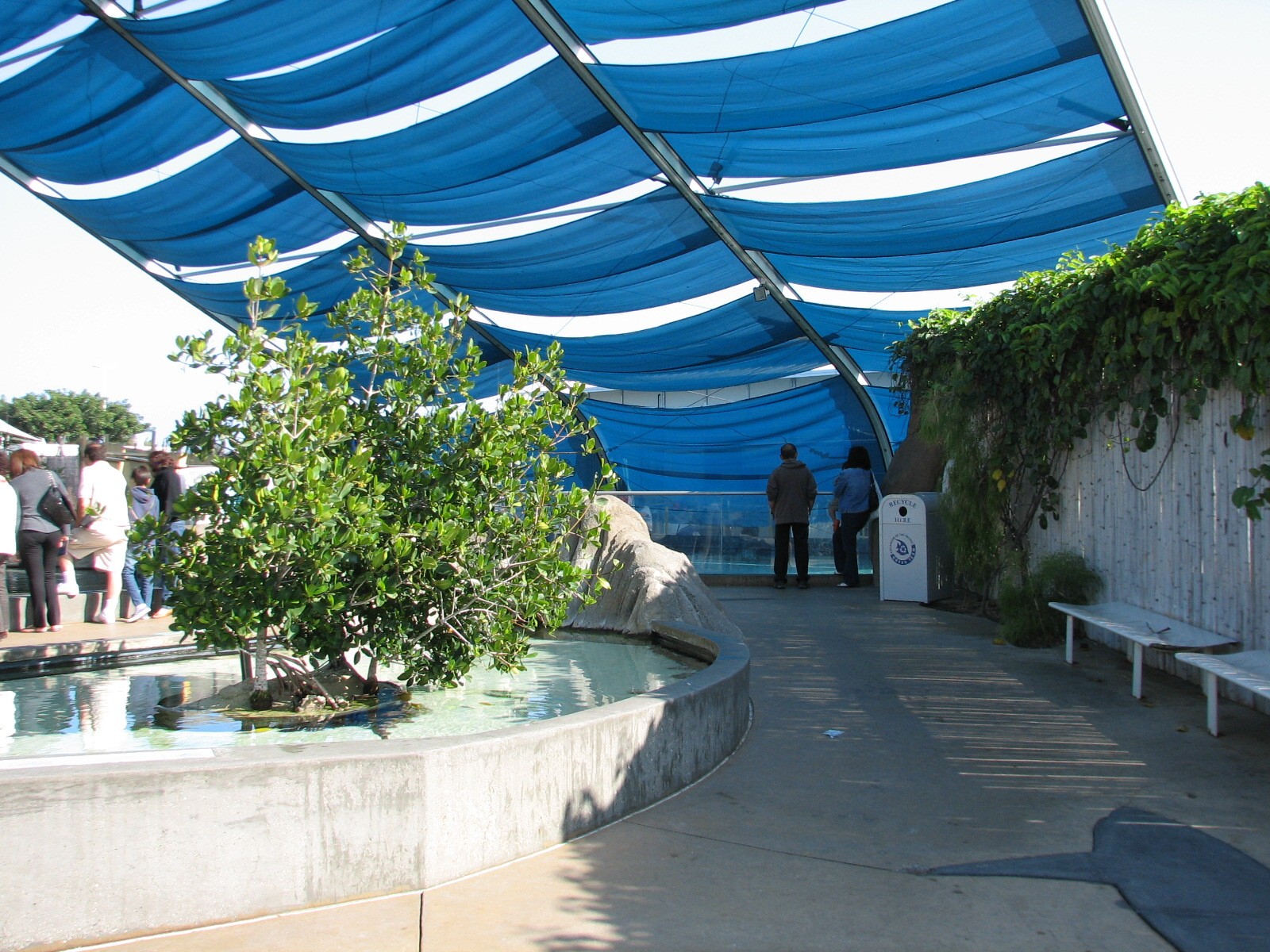 Explorers Cove - Shark Lagoon - Touchpool