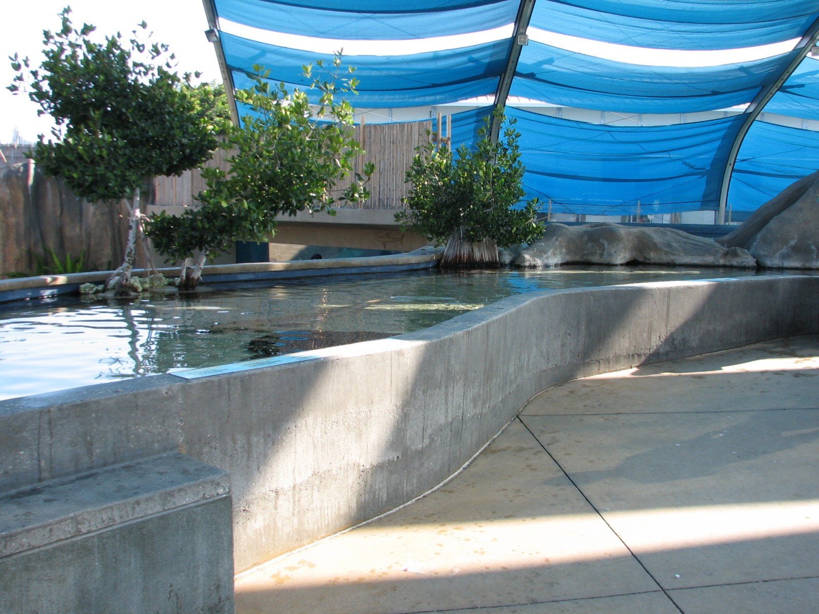 Explorers Cove - Shark Lagoon - Touchpool