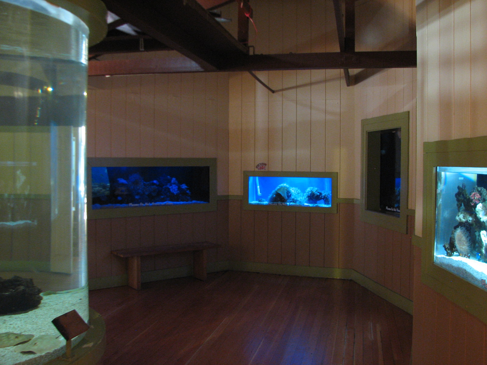 Explorers Outpost - Aquariums