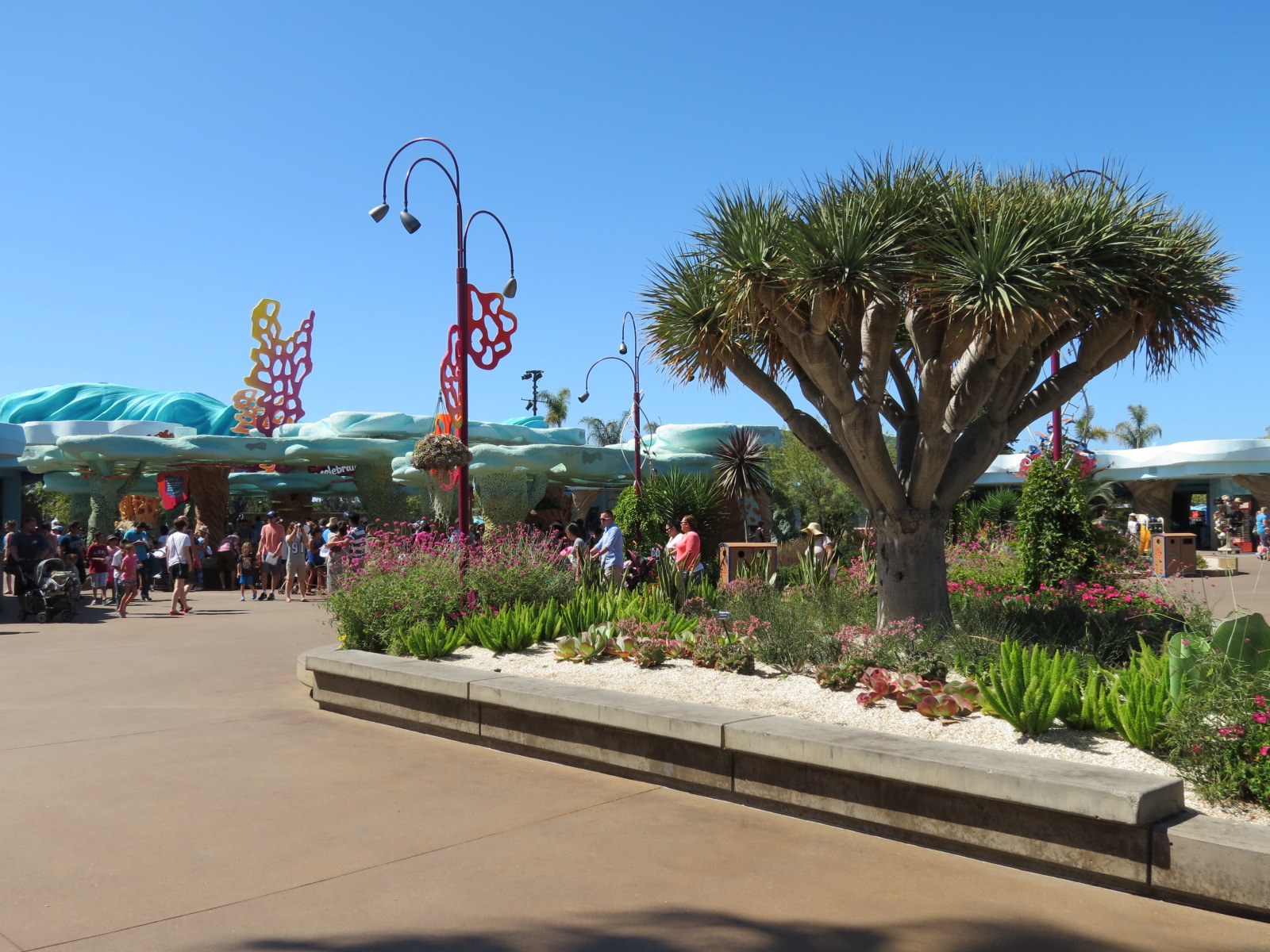 Explorers Reef - Area View