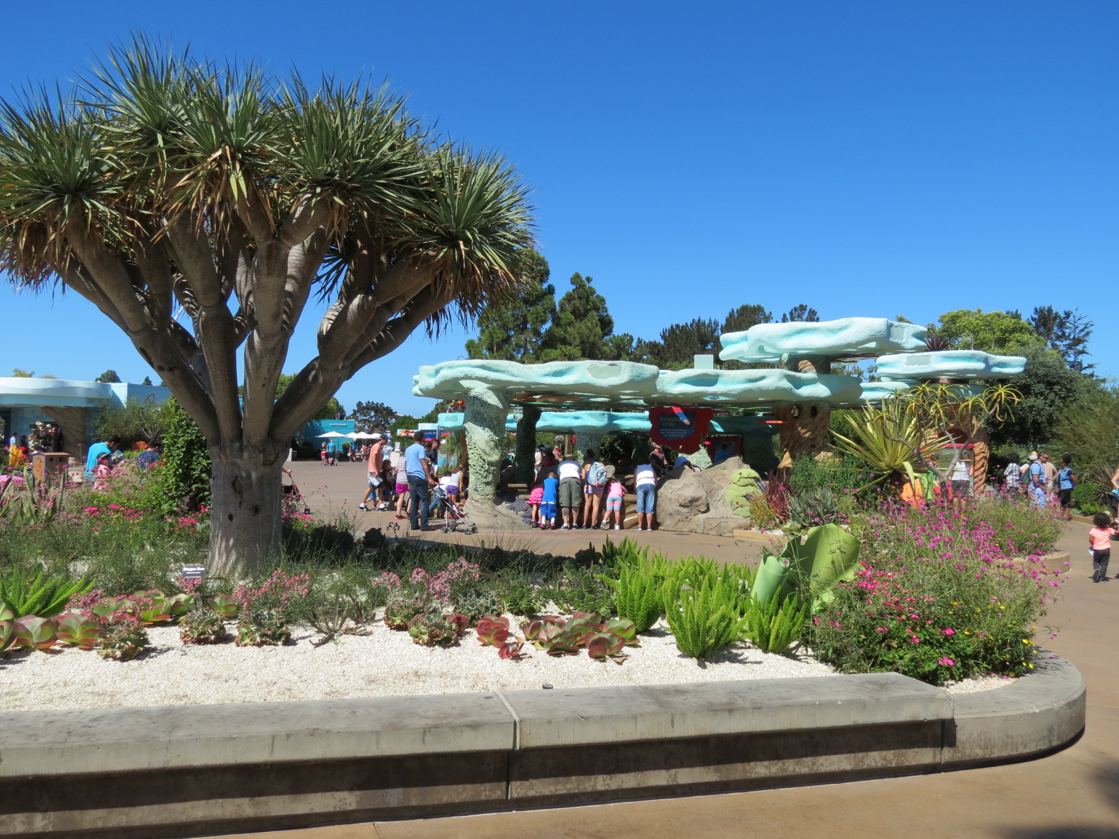 Explorers Reef - Area View