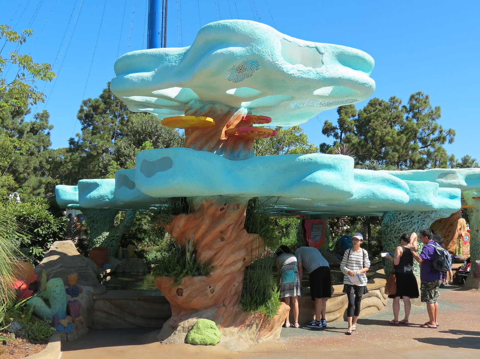 Explorers Reef - Brown-banded Bamboo Shark Touchtank