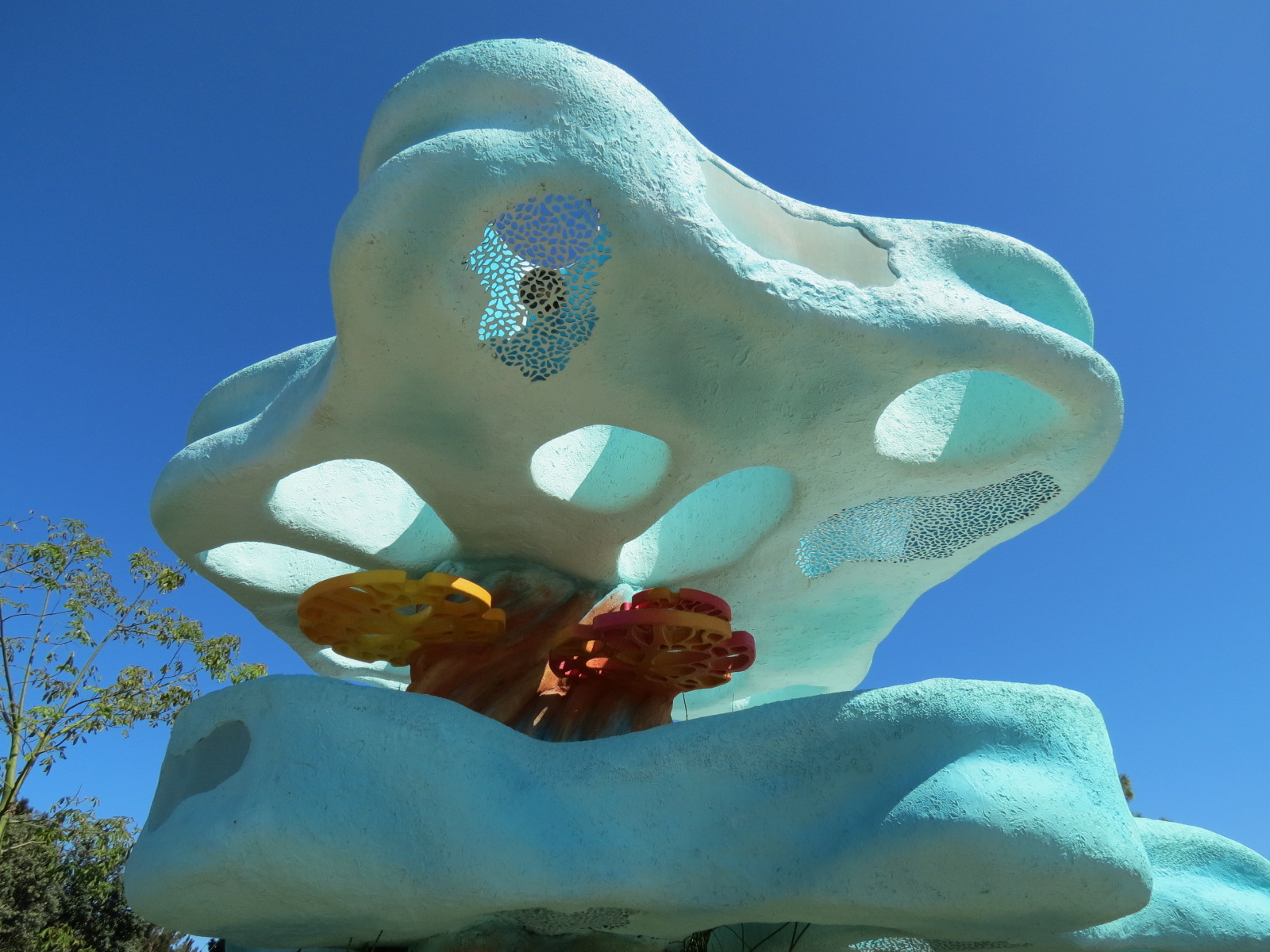 Explorers Reef - Brown-banded Bamboo Shark Touchtank