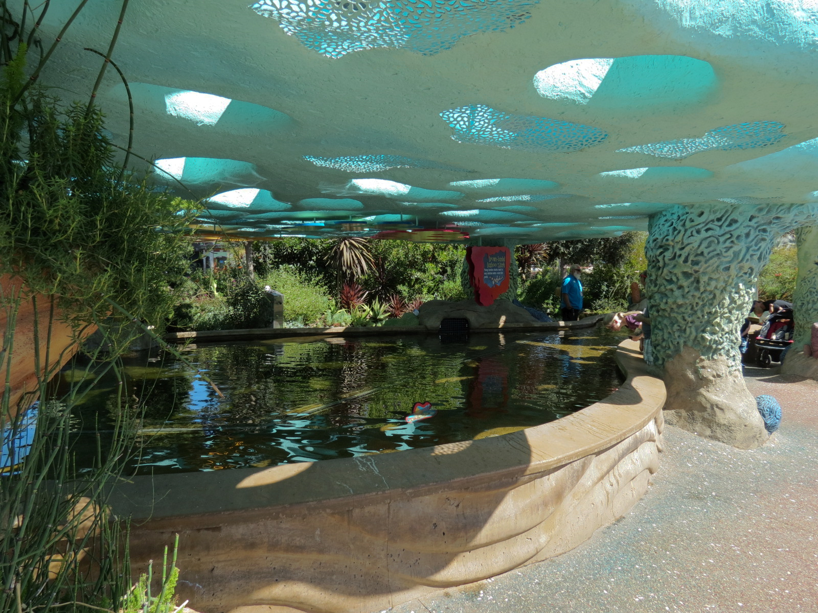 Explorers Reef - Brown-banded Bamboo Shark Touchtank