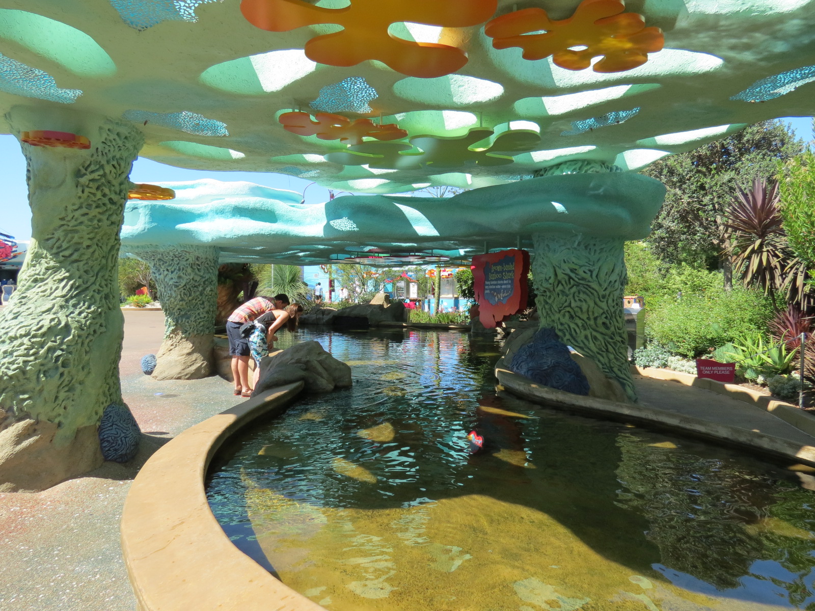 Explorers Reef - Brown-banded Bamboo Shark Touchtank