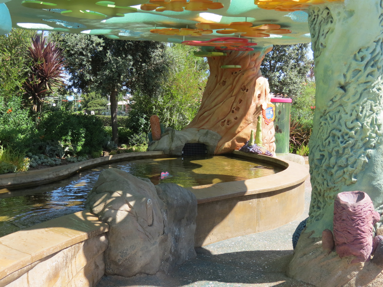 Explorers Reef - Brown-banded Bamboo Shark Touchtank