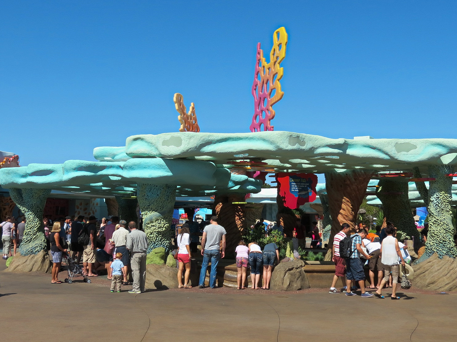 Explorers Reef - Cleaner Fish Touchtank