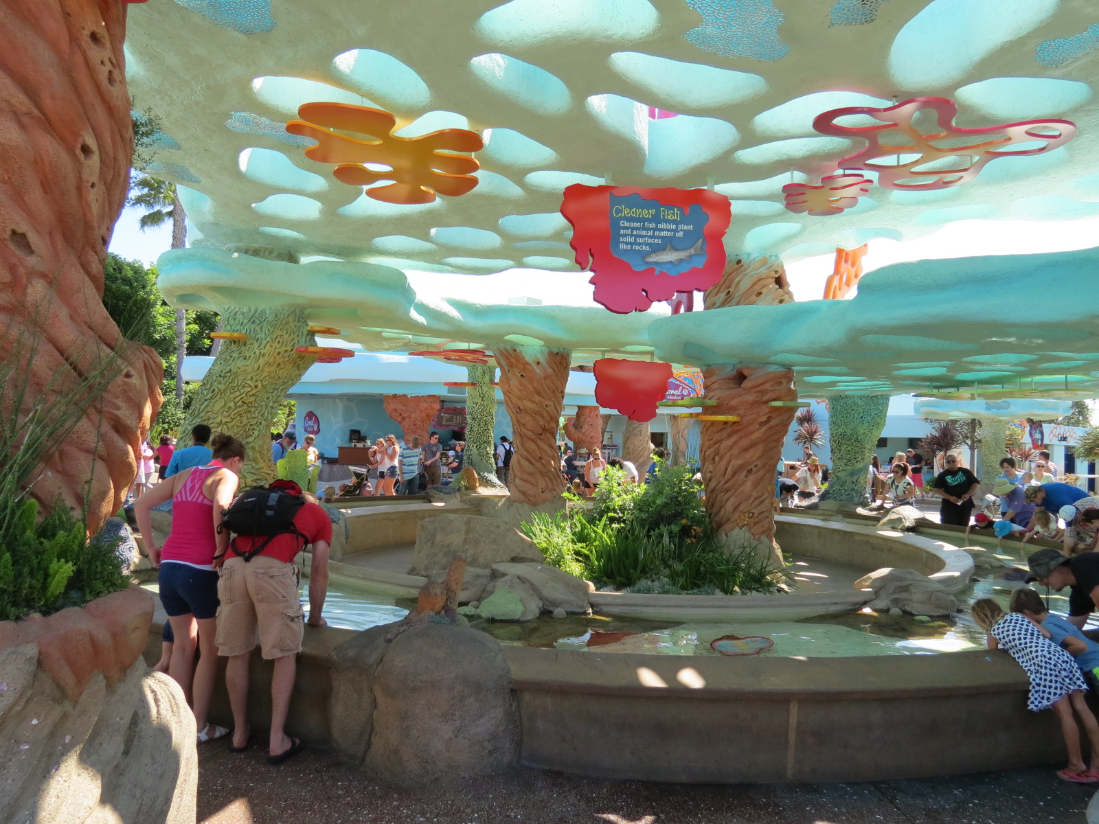Explorers Reef - Cleaner Fish Touchtank