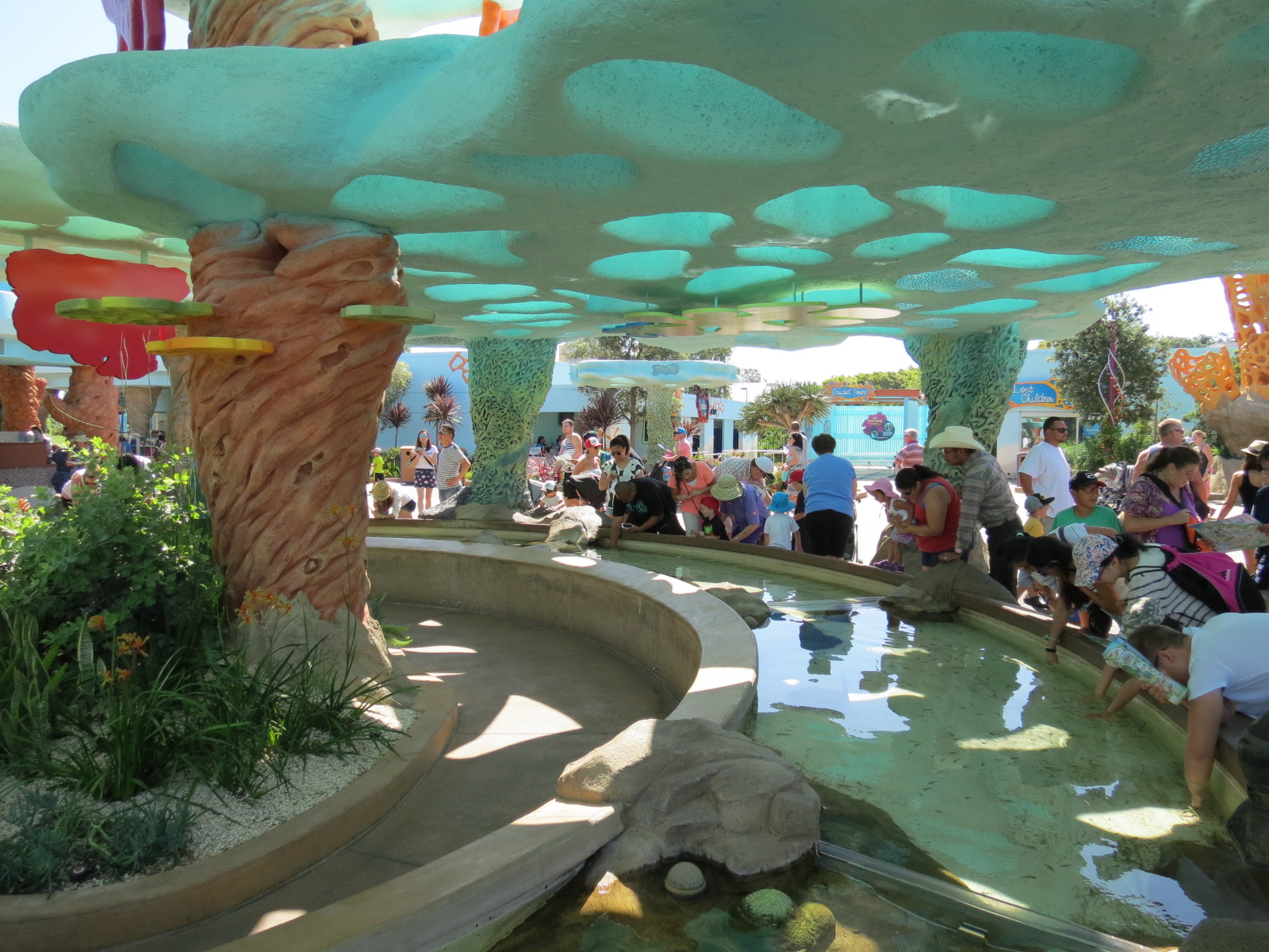 Explorers Reef - Cleaner Fish Touchtank