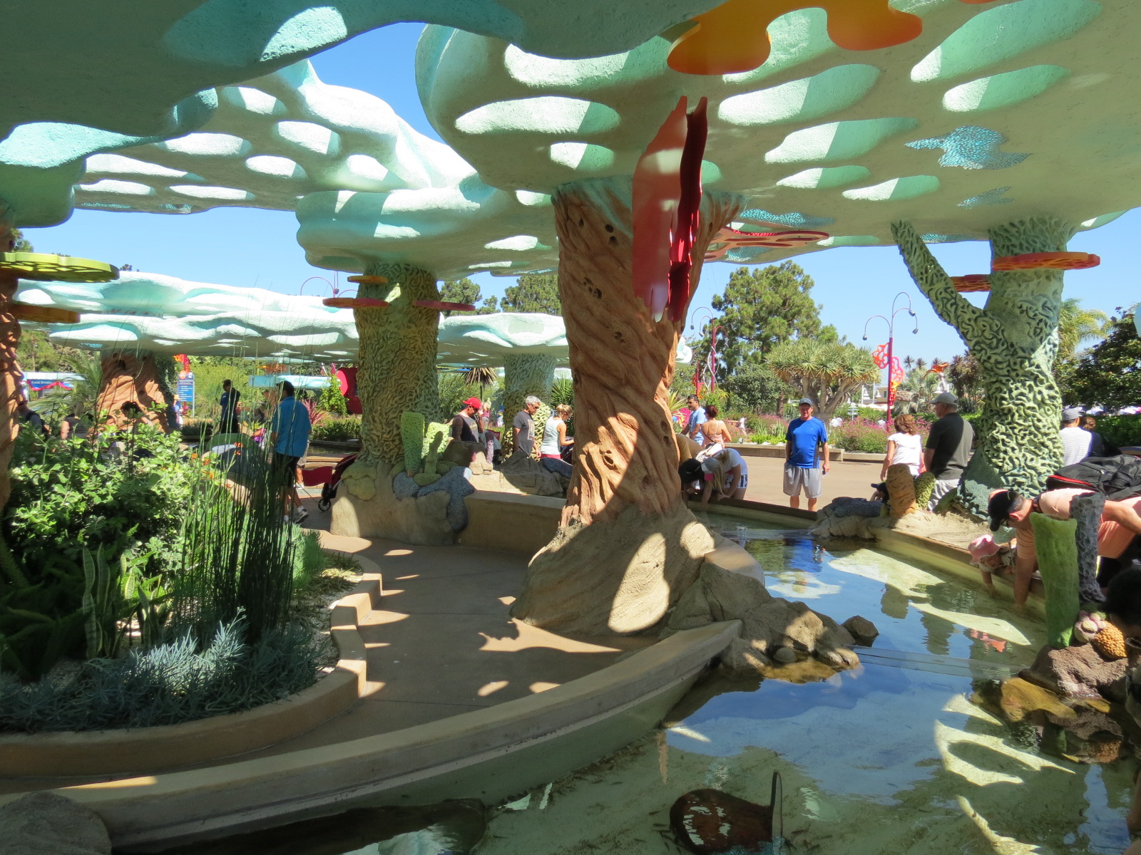 Explorers Reef - Cleaner Fish Touchtank