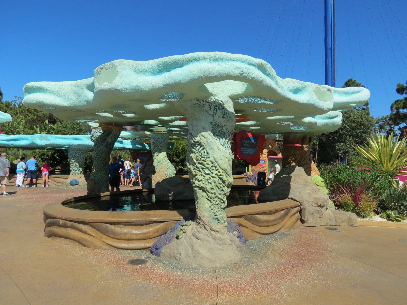 Explorers Reef - Horseshoe Crab and Rays Touchtank