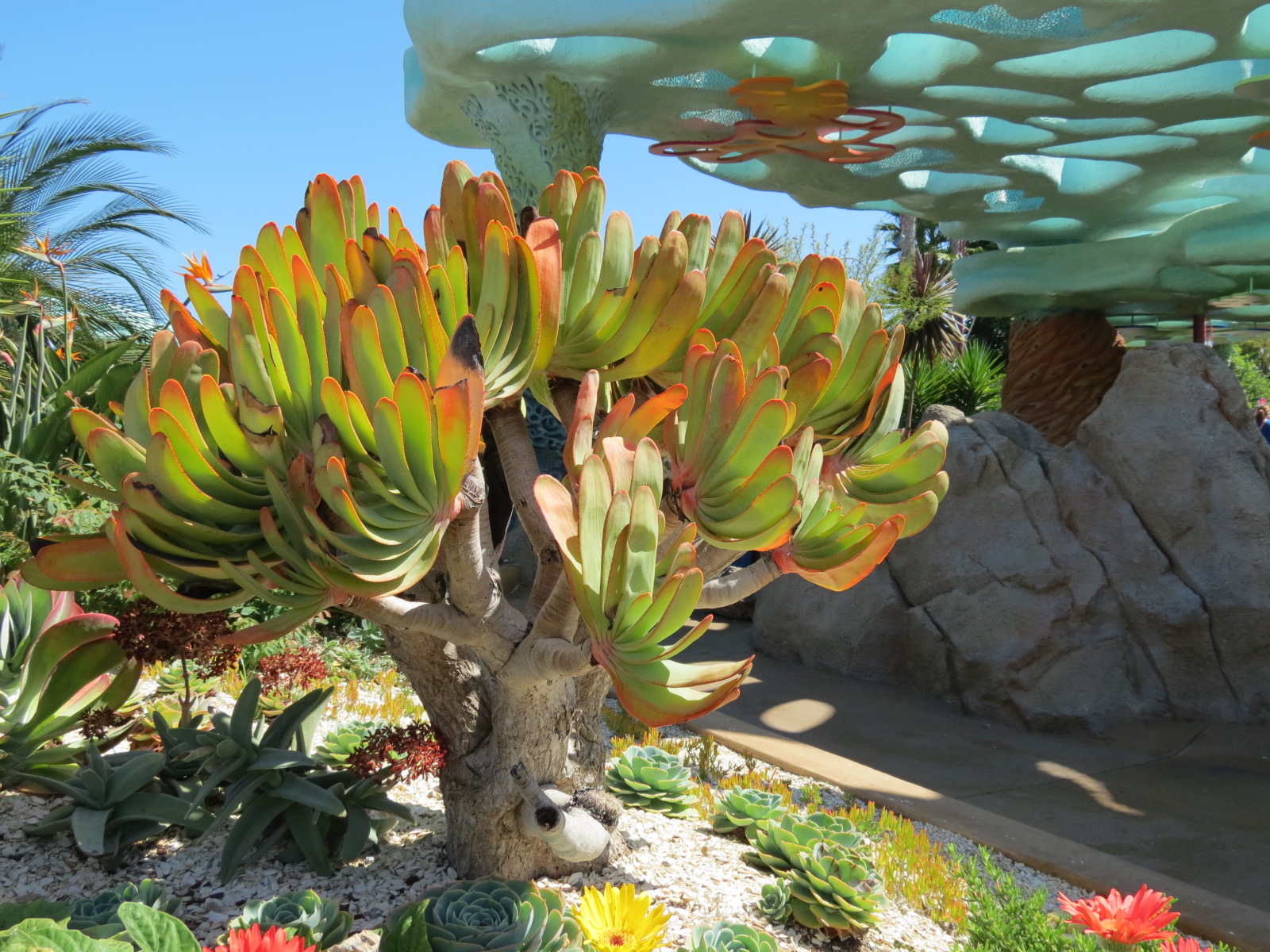Explorers Reef - Landscape