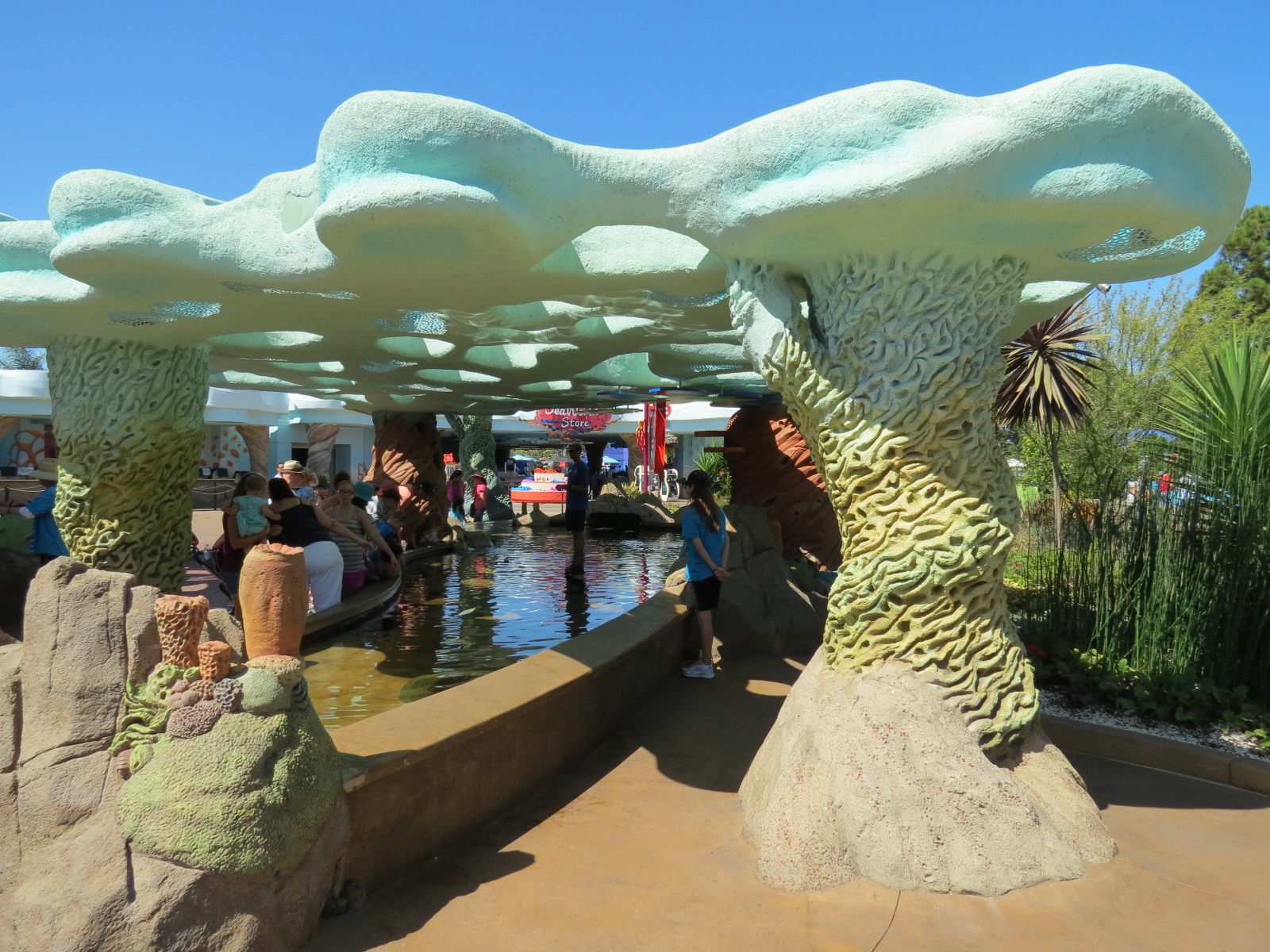 Explorers Reef - White-spotted Bamboo Shark Touchtank