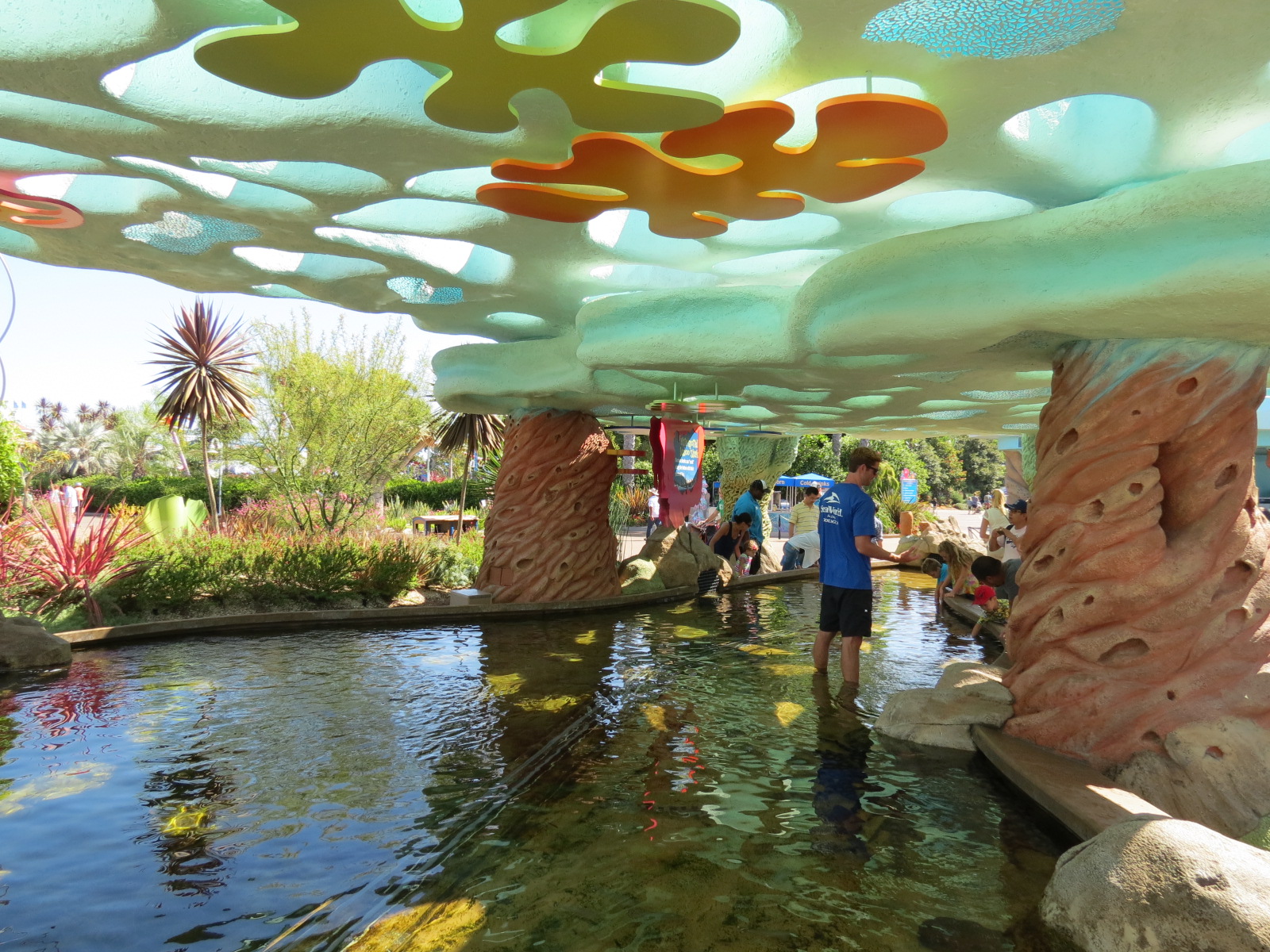 Explorers Reef - White-spotted Bamboo Shark Touchtank