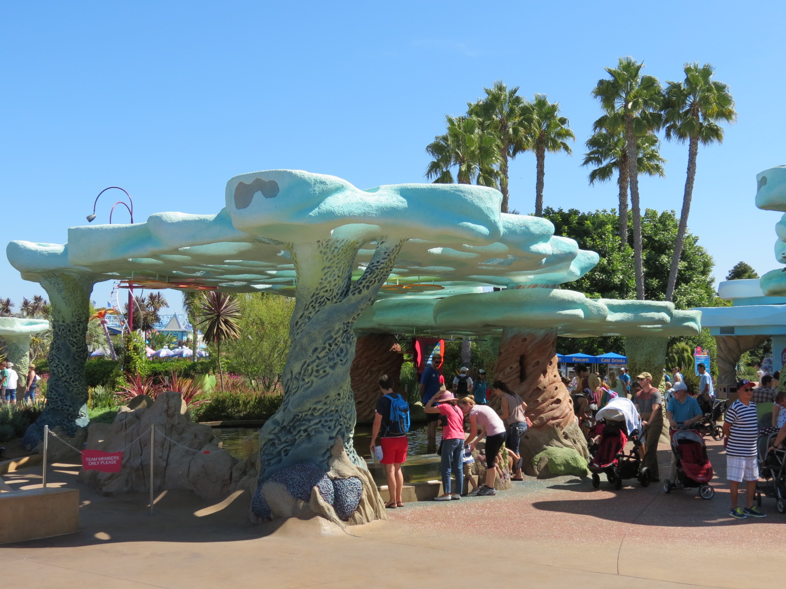 Explorers Reef - White-spotted Bamboo Shark Touchtank