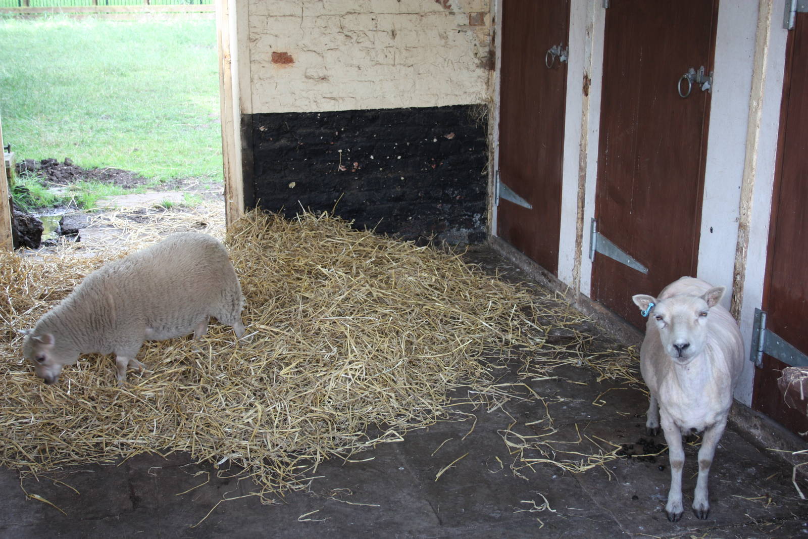 Exploring an unfamiliar area, 11th July 2014