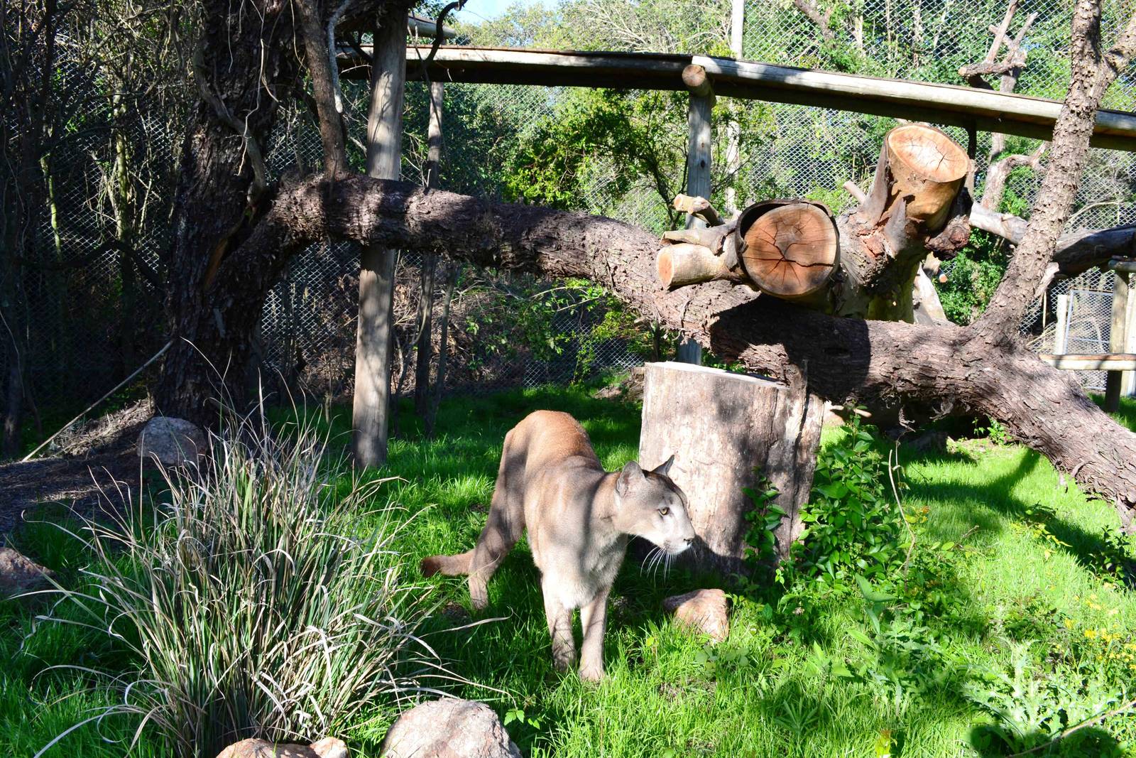 exploring the new home