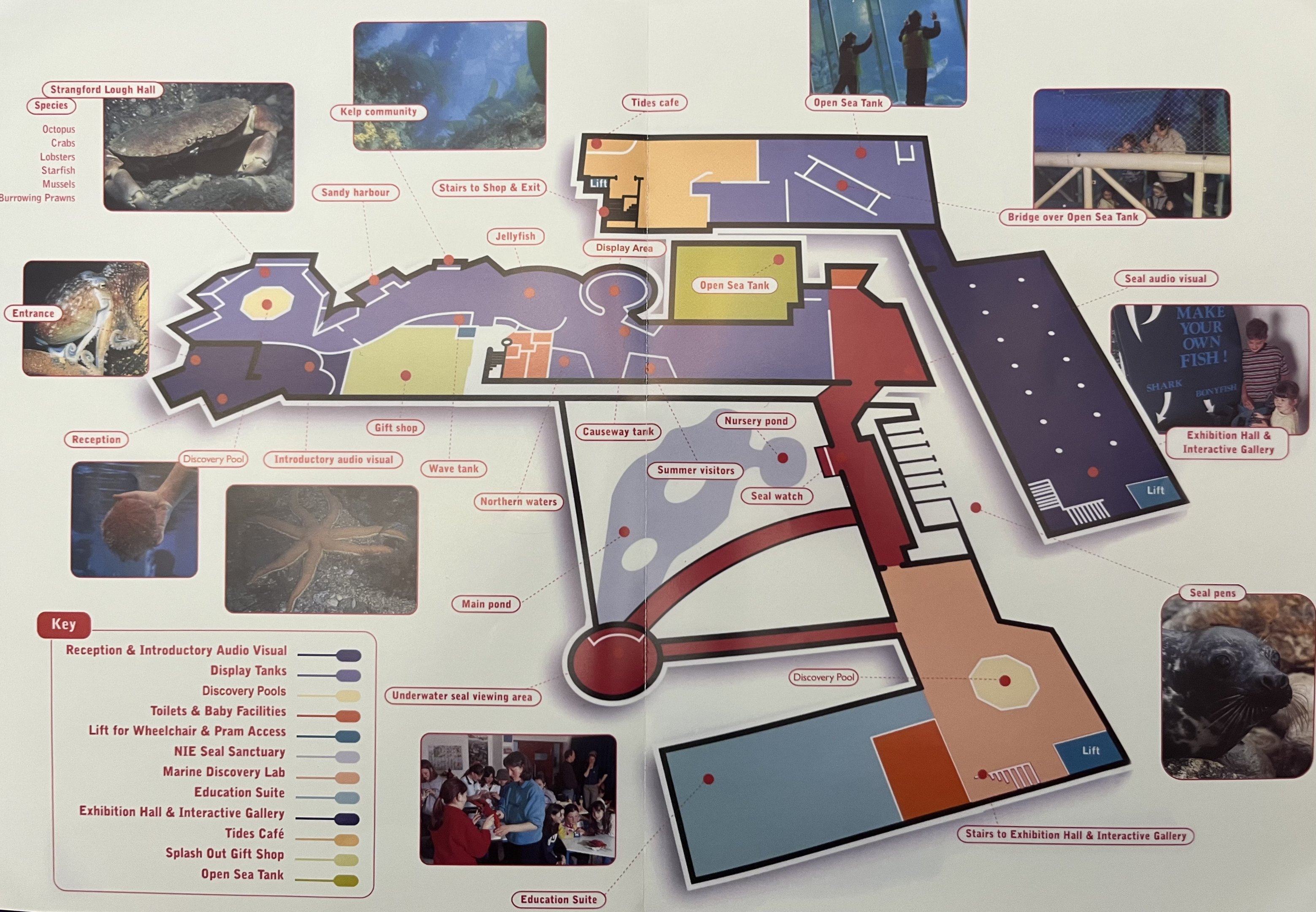 Exploris Aquarium Map - undated