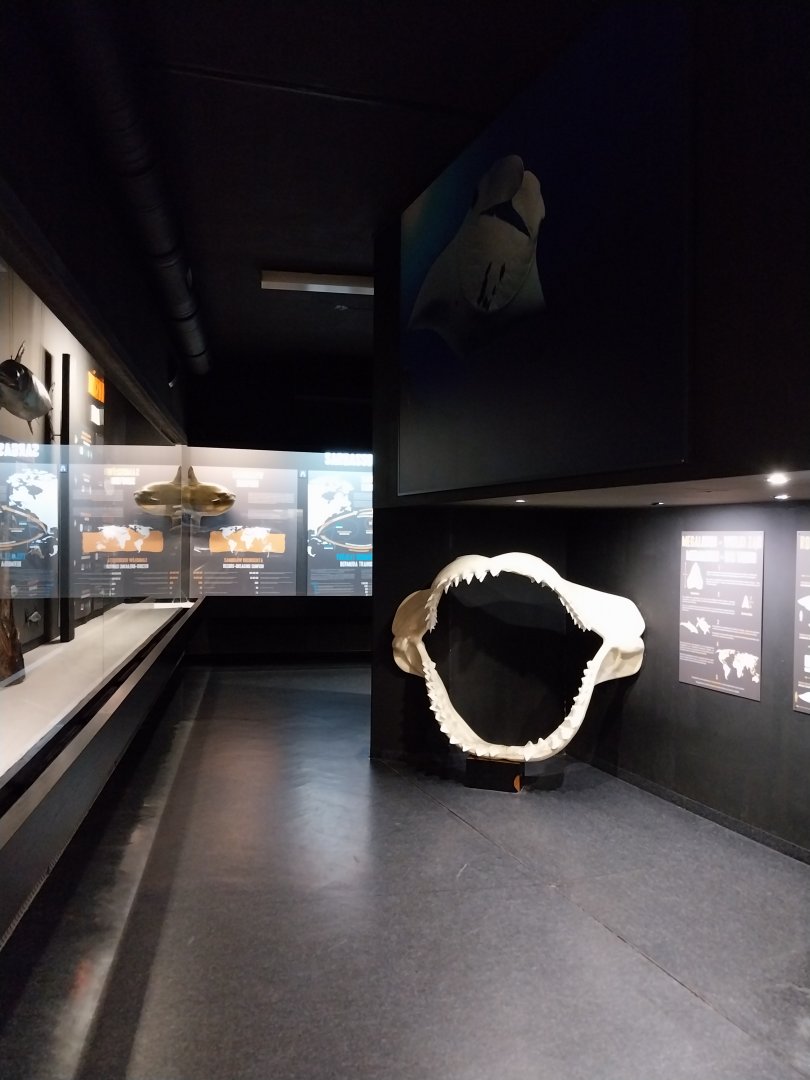 Exposition 2. Education Room