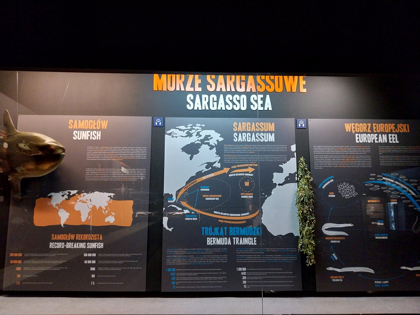 Exposition 2. Education Room